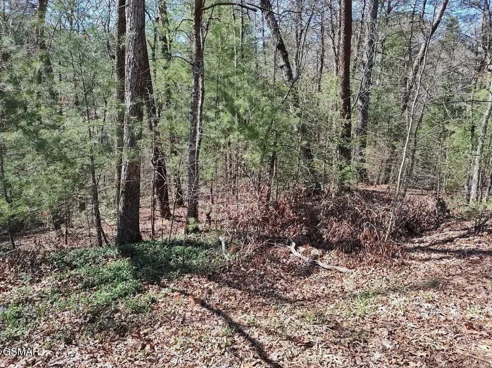 Unit for sale at 0 John Boy Trail, Sevierville, TN 37862