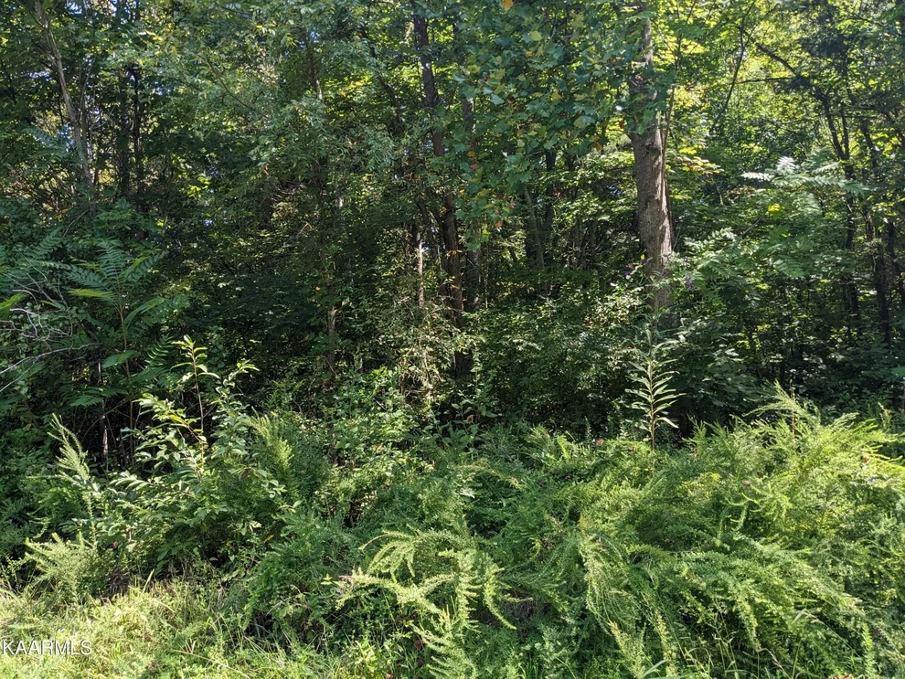 Unit for sale at 1427 Hillside Pl, Baneberry, TN 37890