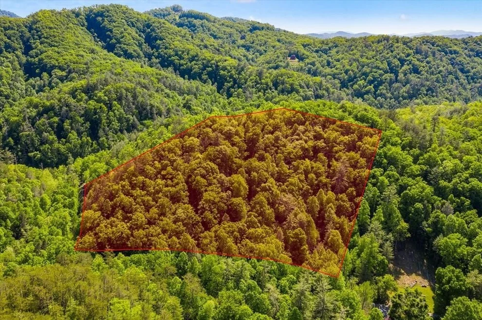 Unit for sale at 8 Waldens Creek, Sevierville, TN 37862