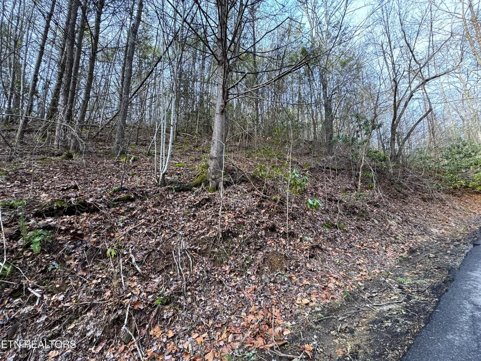 Unit for sale at 0 Black Gum Rd, Gatlinburg, TN 37738