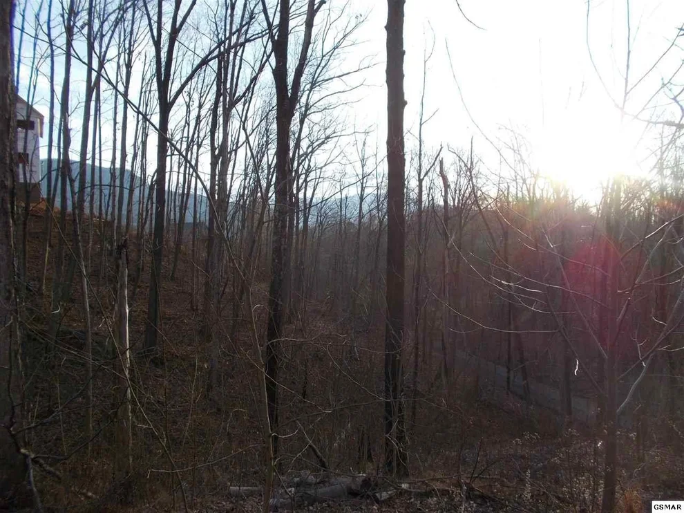 Unit for sale at 806 Red Fox Trail, Gatlinburg, TN 37738