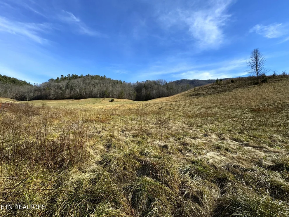 Unit for sale at 151 Timber Ridge Rd, Del Rio, TN 37727