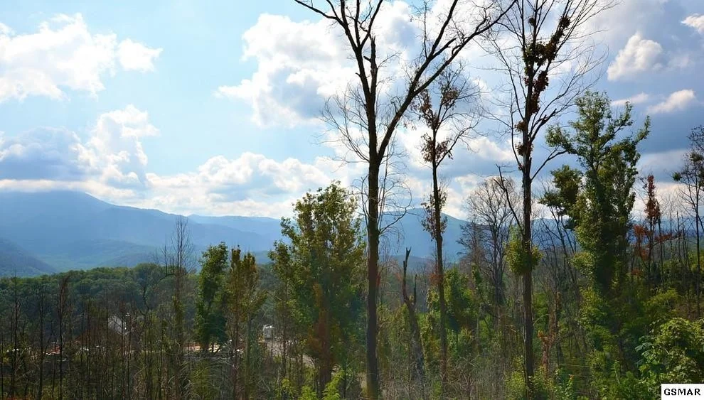 Unit for sale at 814 Chalet Village Boulevard, Gatlinburg, TN 37738
