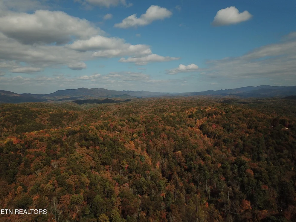 Unit for sale at 0 Mt Pleasant Rd, Vonore, TN 37885
