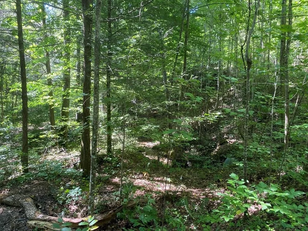 Unit for sale at 1882 Obes Branch Road, Sevierville, TN 37876