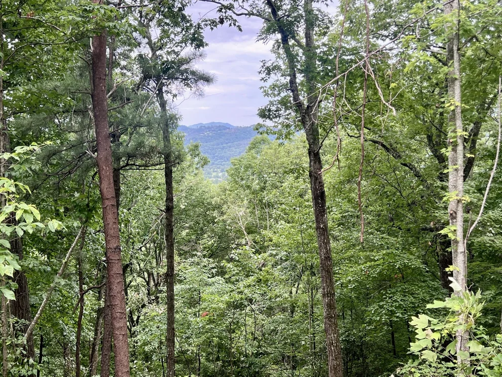 Unit for sale at 10 Ravens Den Way, Sevierville, TN 37862