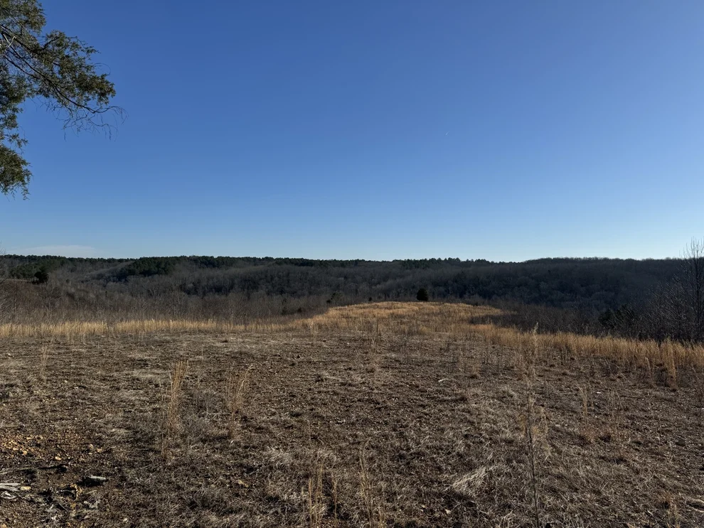 Unit for sale at 365 Twin Pines Overlook, Lobelville, TN 37097