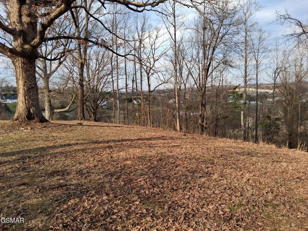 Unit for sale at 5 Sandpiper Court, Kodak, TN 37764