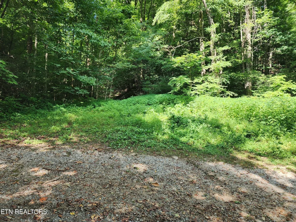 Unit for sale at 1986 Carrs Creek Rd, Townsend, TN 37882