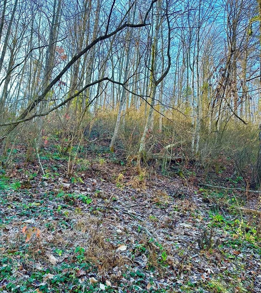 Unit for sale at 0 Manis Hollow Road, Gatlinburg, TN 37738