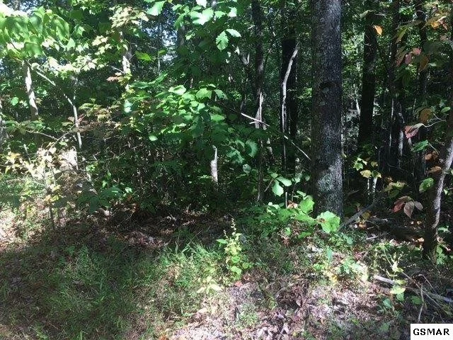 Unit for sale at 509 Sky View Drive, Sevierville, TN 37876