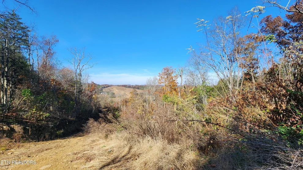 Unit for sale at 0 Parton Hollow Rd, Sevierville, TN 37876