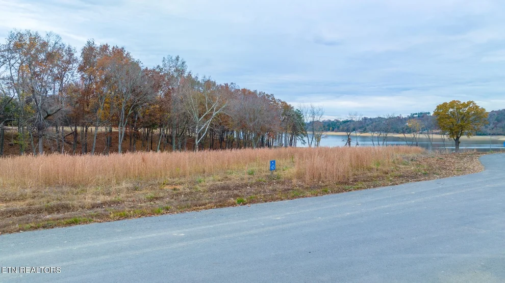 Unit for sale at 0 English Mountain Point, Baneberry, TN 37890