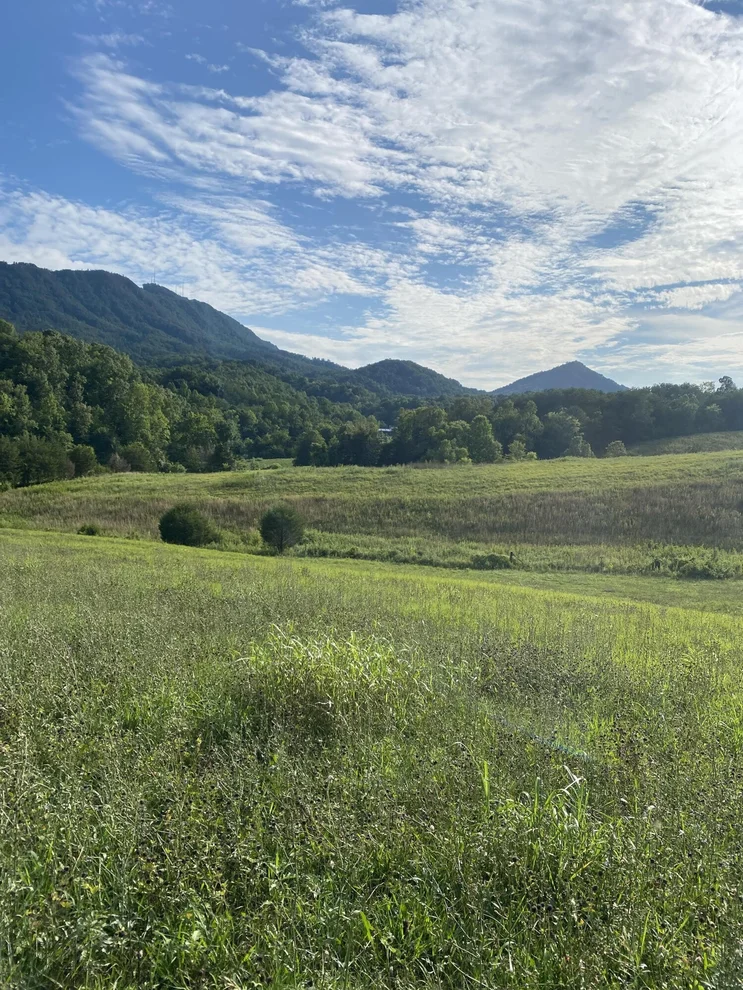 Unit for sale at 14151331 Sugar Loaf Road, Sevierville, TN 37862
