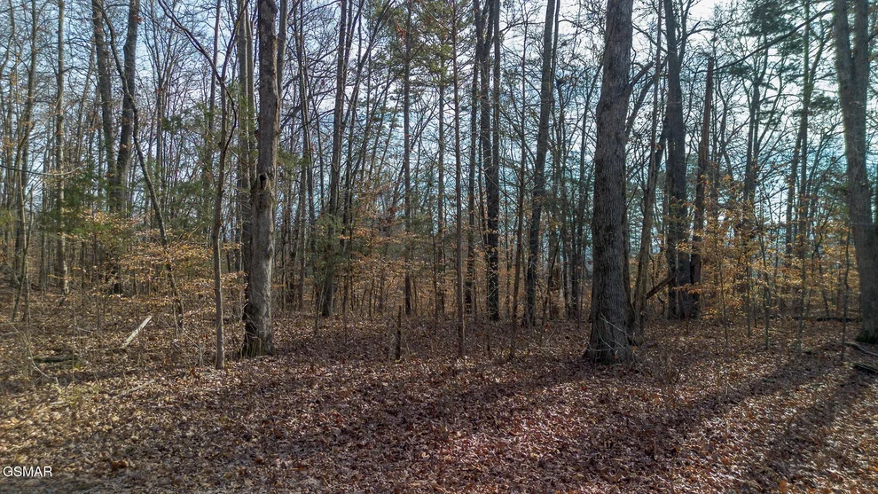 Unit for sale at 5 Armstrong Drive, Dandridge, TN 37725