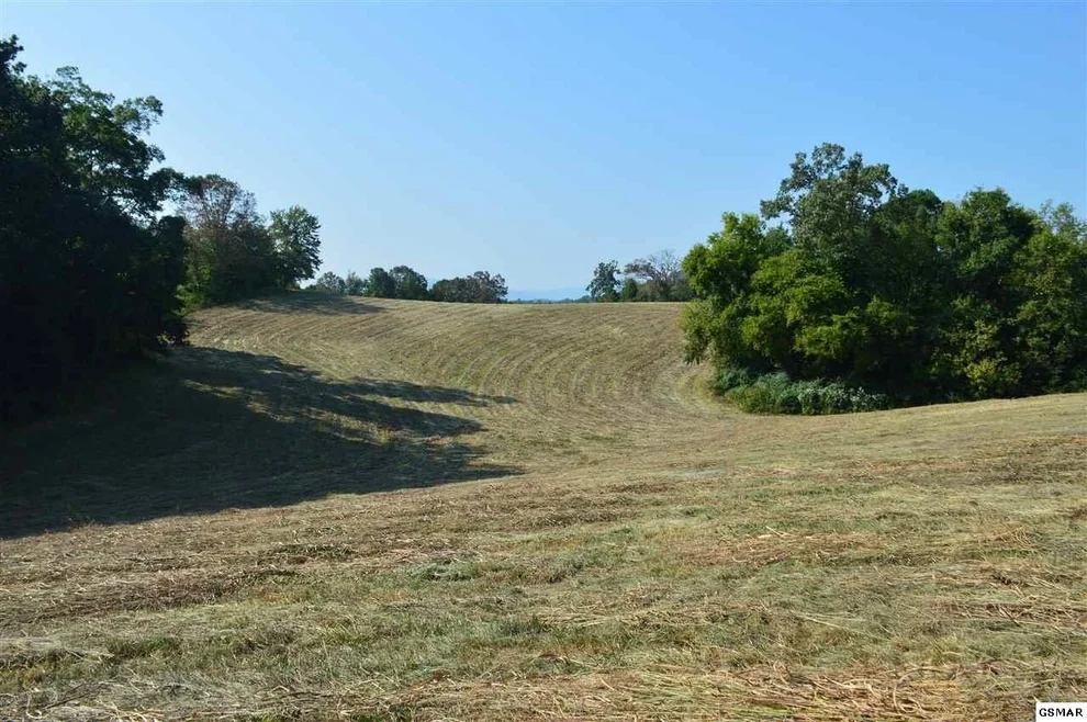 Unit for sale at 0 Piney Road, Kodak, TN 37764
