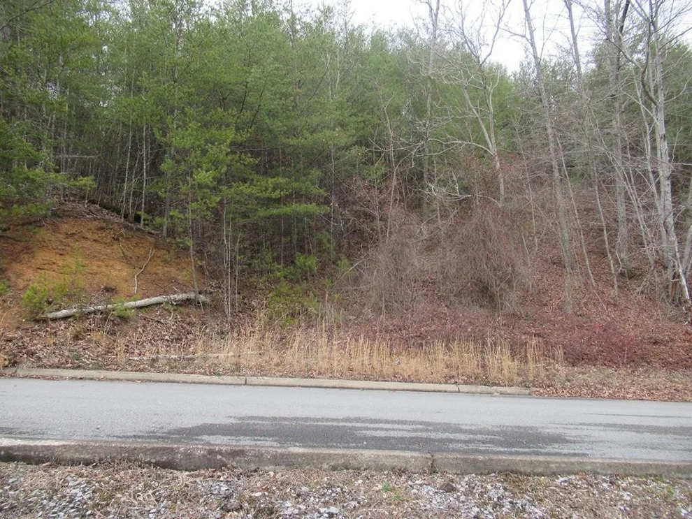 Unit for sale at 156 Bear Valley Road, Sevierville, TN 37862