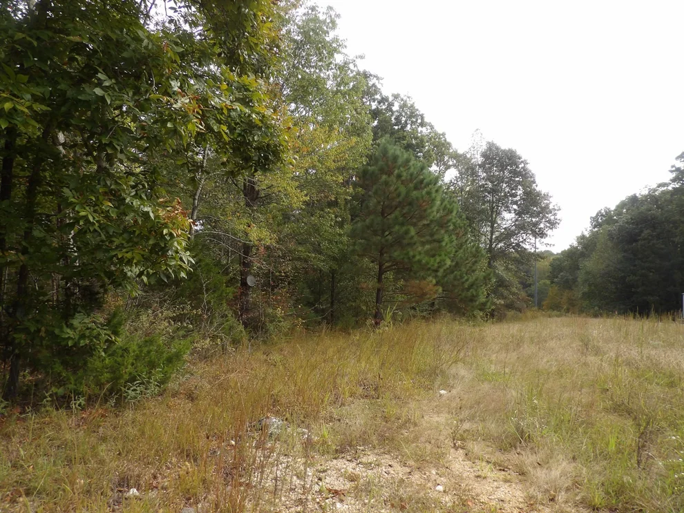 Unit for sale at 112 Oak Ridge Dr, Waverly, TN 37185