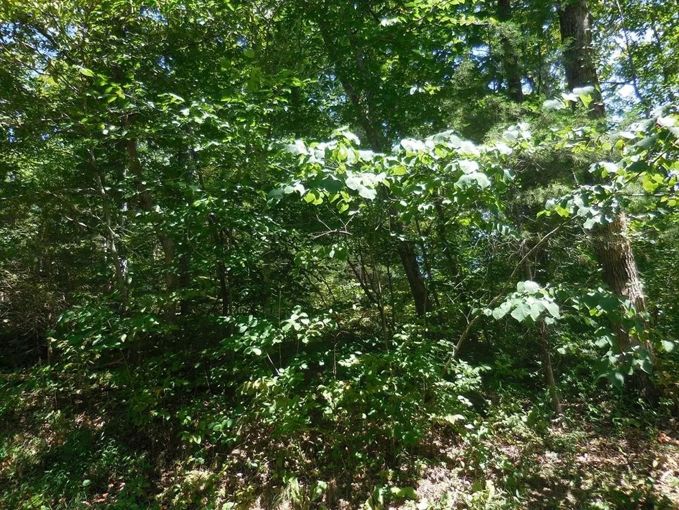 Unit for sale at 68 SANDY POINT Lane, Sevierville, TN 37876