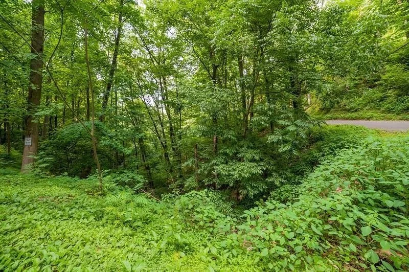 Unit for sale at 10 Buena Vista Drive, Sevierville, TN 37876