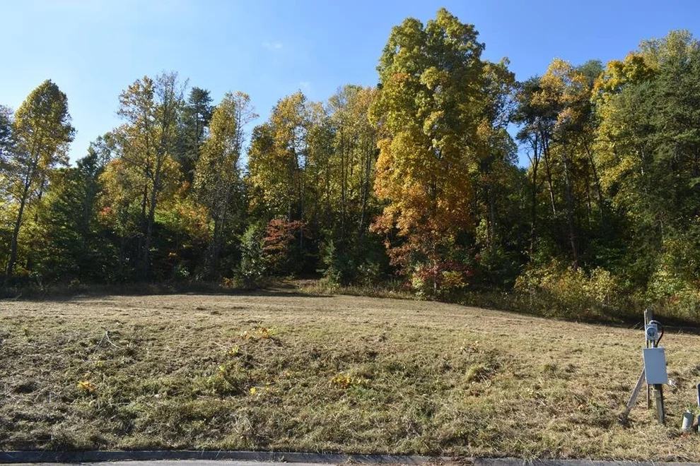 Unit for sale at 0 Briar Ridge Lane, Strawberry Plains, TN 37871