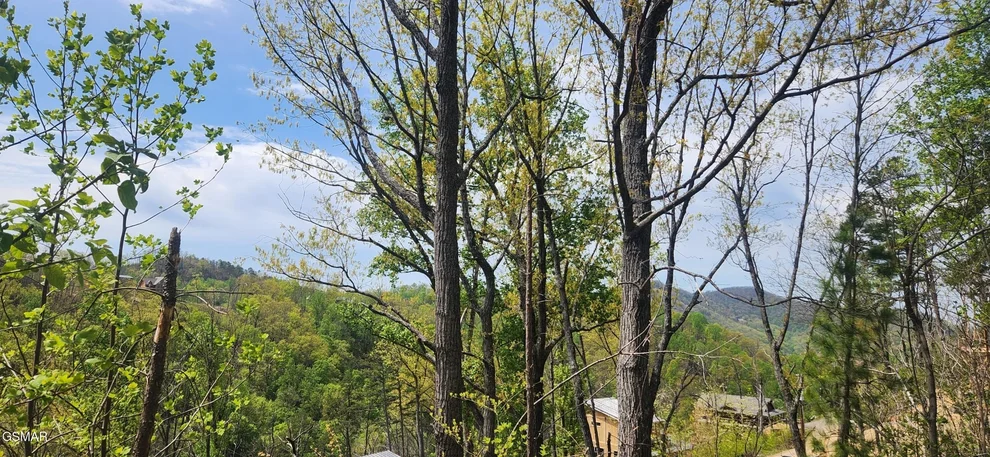Unit for sale at 1516 Headrick Lead, Sevierville, TN 37862