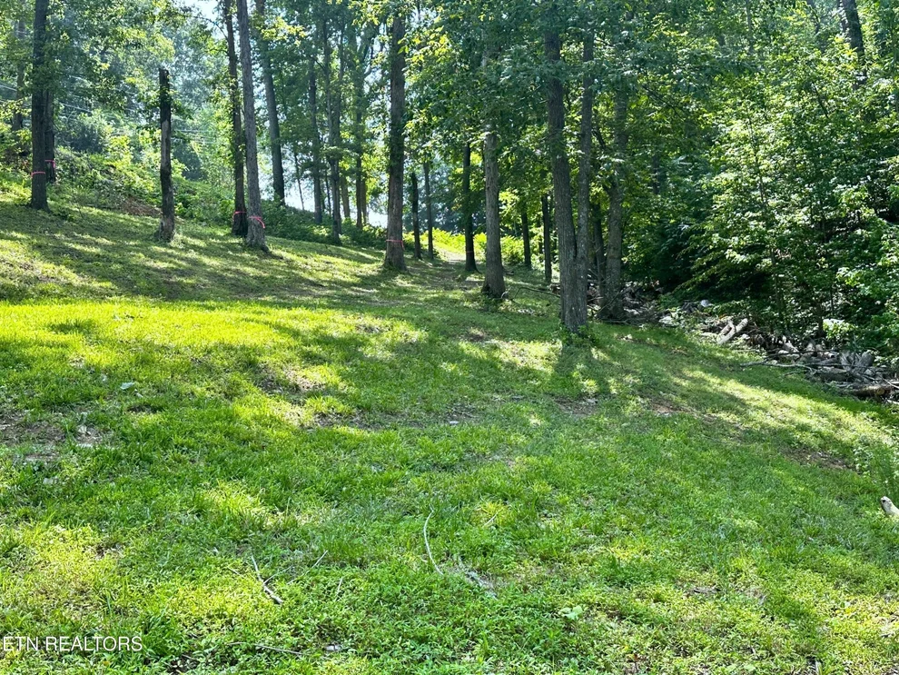 Unit for sale at 534 Bonnevista Drive, White Pine, TN 37890
