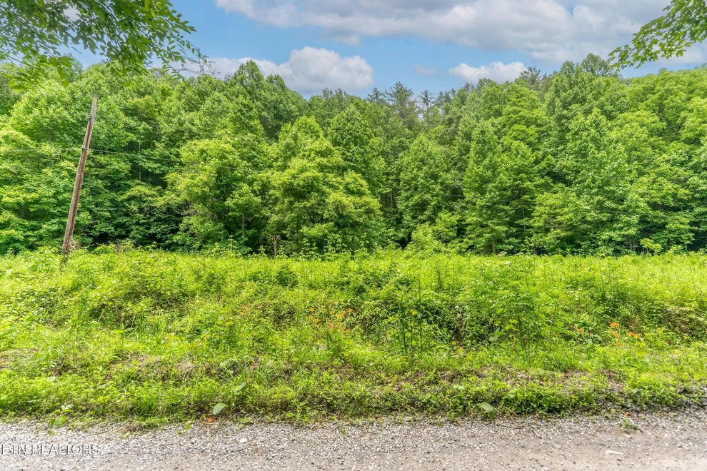 Unit for sale at 0 Johns Creek Rd, Del Rio, TN 37727