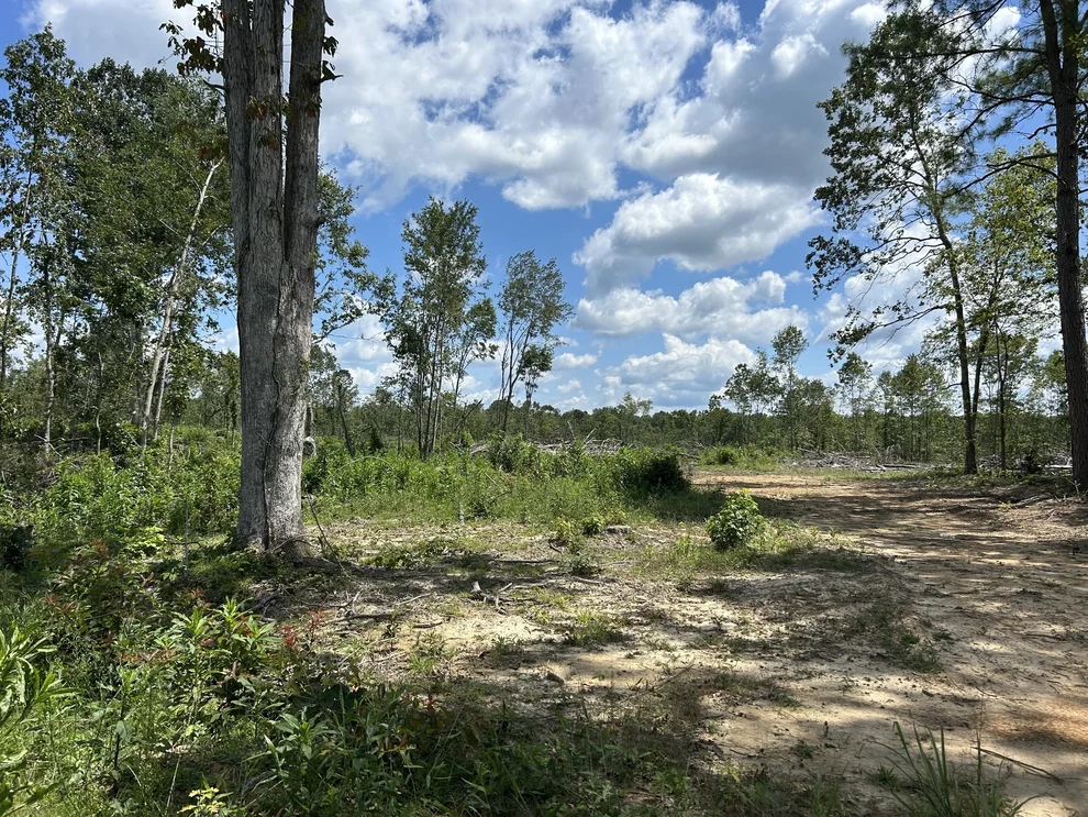 Unit for sale at 0 Wynn Rd, Big Sandy, TN 38221