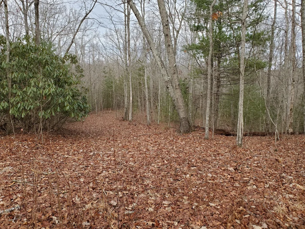 Unit for sale at 0 Yellow Nugget Rd, Tellico Plains, TN 37385
