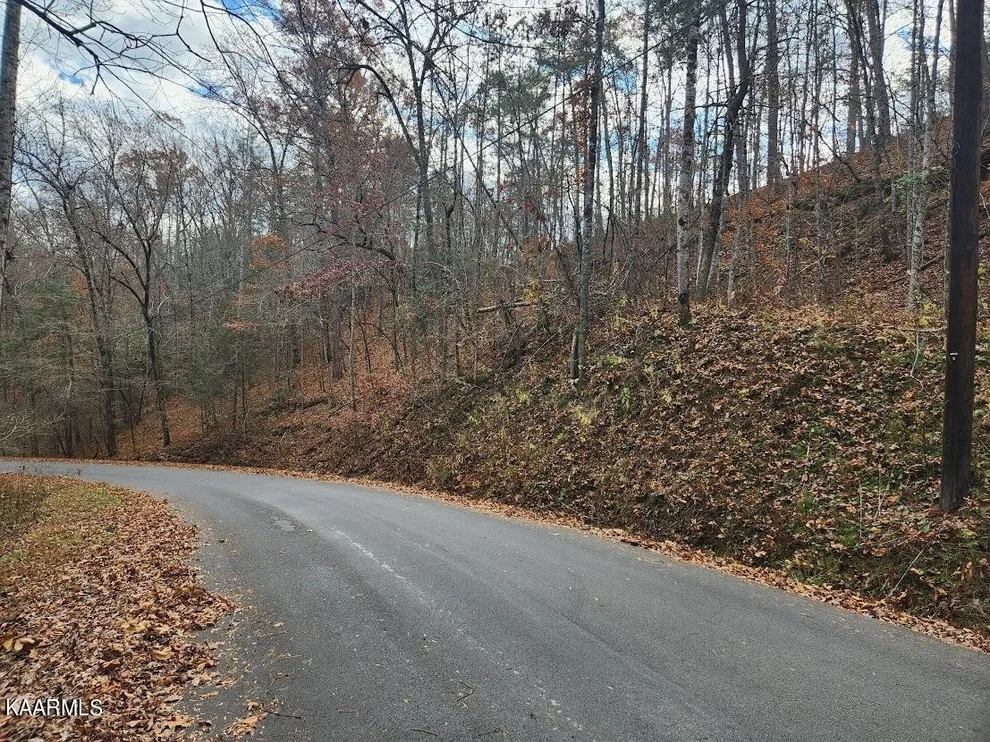 Unit for sale at 0 Fiesta Blvd, Sevierville, TN 37876