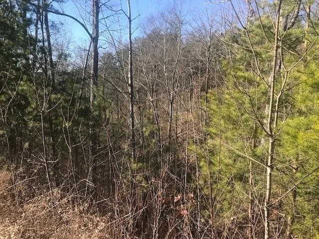 Unit for sale at 3 Lighting Strike Drive, Sevierville, TN 37862