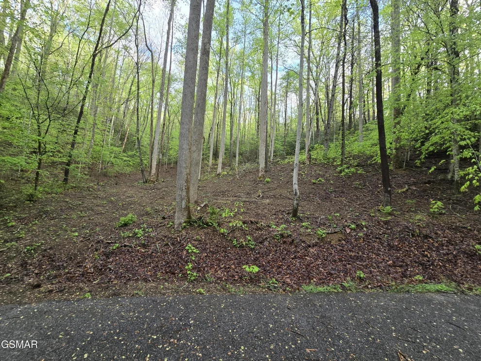 Unit for sale at 0 Cara Way, Cosby, TN 37722