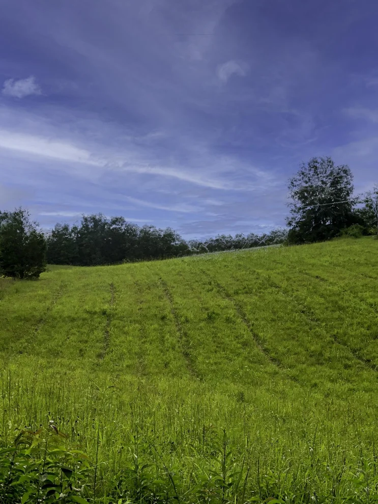 Unit for sale at 0 Haggard Rd, Sevierville, TN 37876