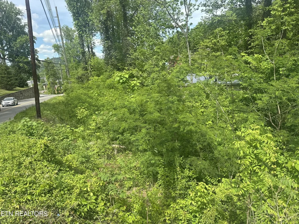Unit for sale at 519 Cherokee Orchard Rd, Gatlinburg, TN 37738