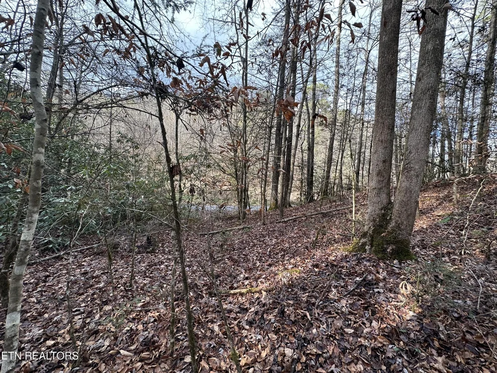 Unit for sale at 0 Little Bear Trail Way, Cosby, TN 37722