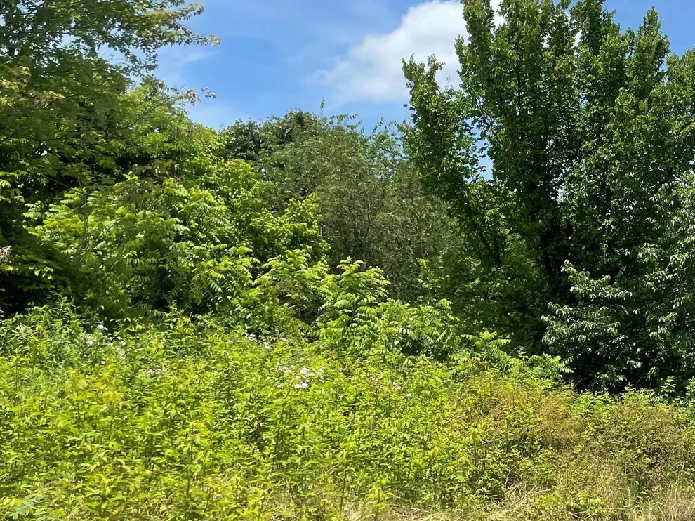 Unit for sale at 20 Clydesdale Ave, Seymour, TN 37865