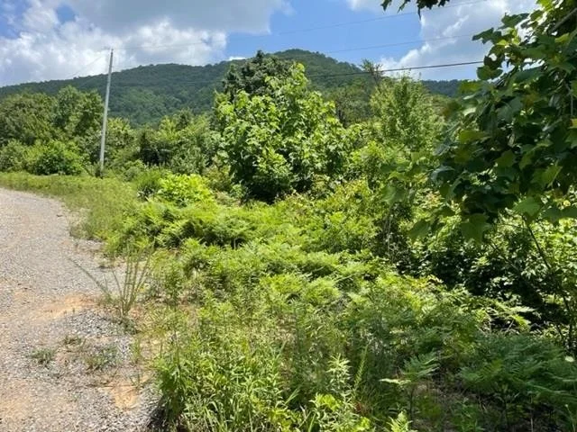 Unit for sale at 1215 Eagle Mountain Road, Newport, TN 37821