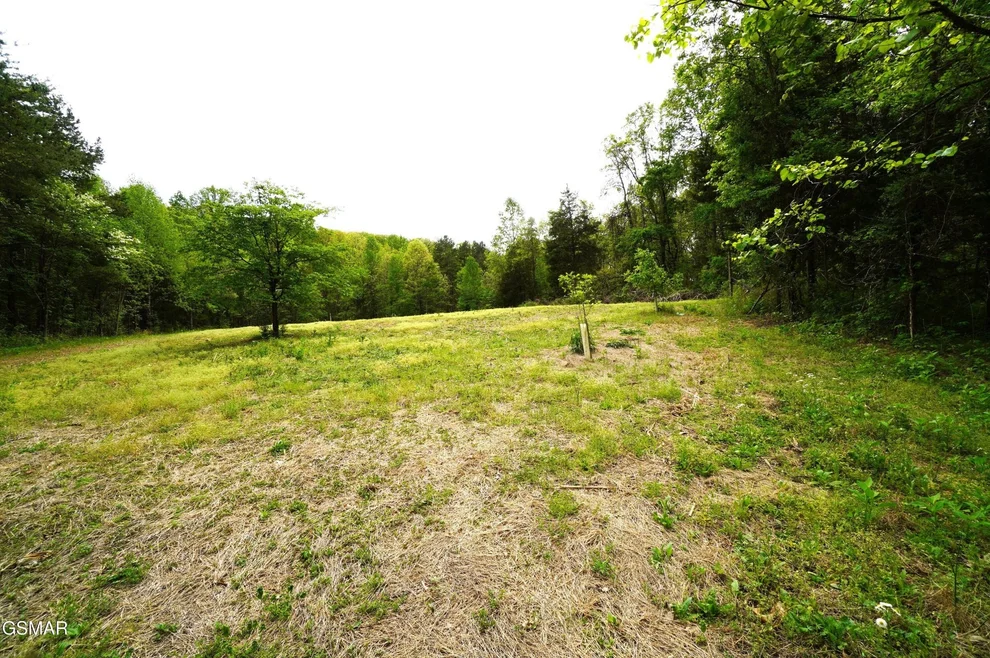 Unit for sale at 19 Pleasant View Cemetery Road, New Market, TN 37820