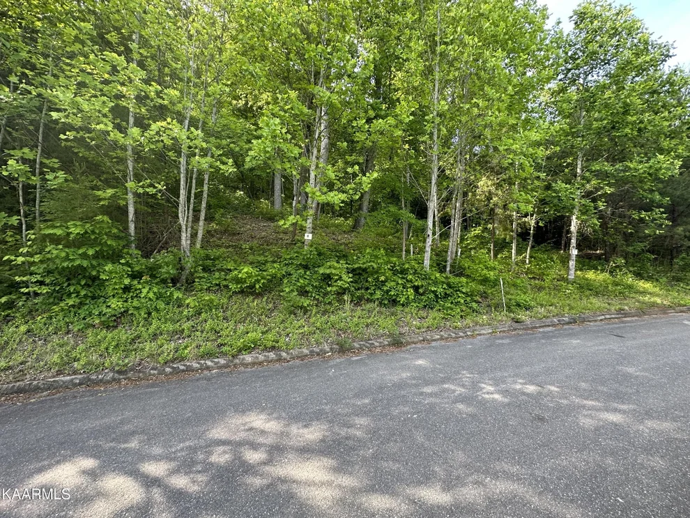 Unit for sale at 0 Mountain Grove Lane, Seymour, TN 37865