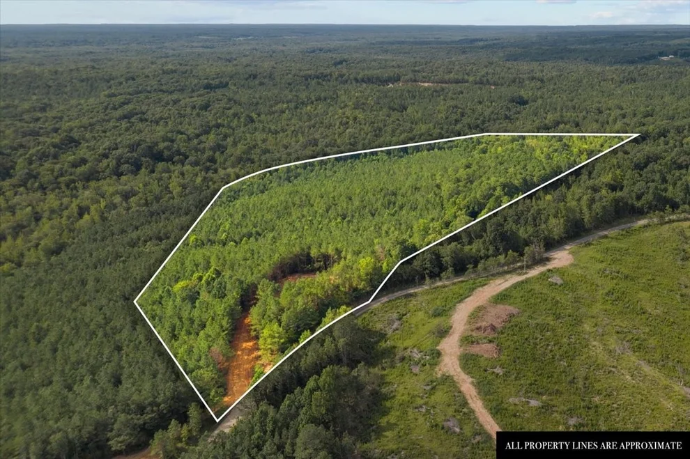 Unit for sale at 0 Eden Farm Rd, Camden, TN 38320