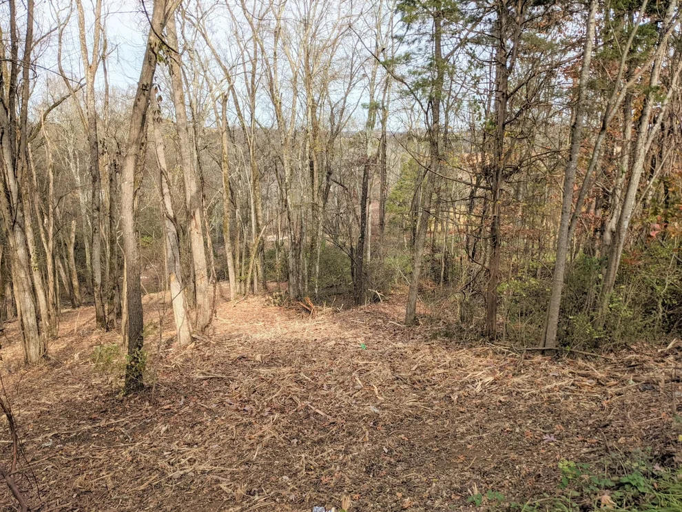 Unit for sale at 27 Lakeside Dr, White Pine, TN 37890