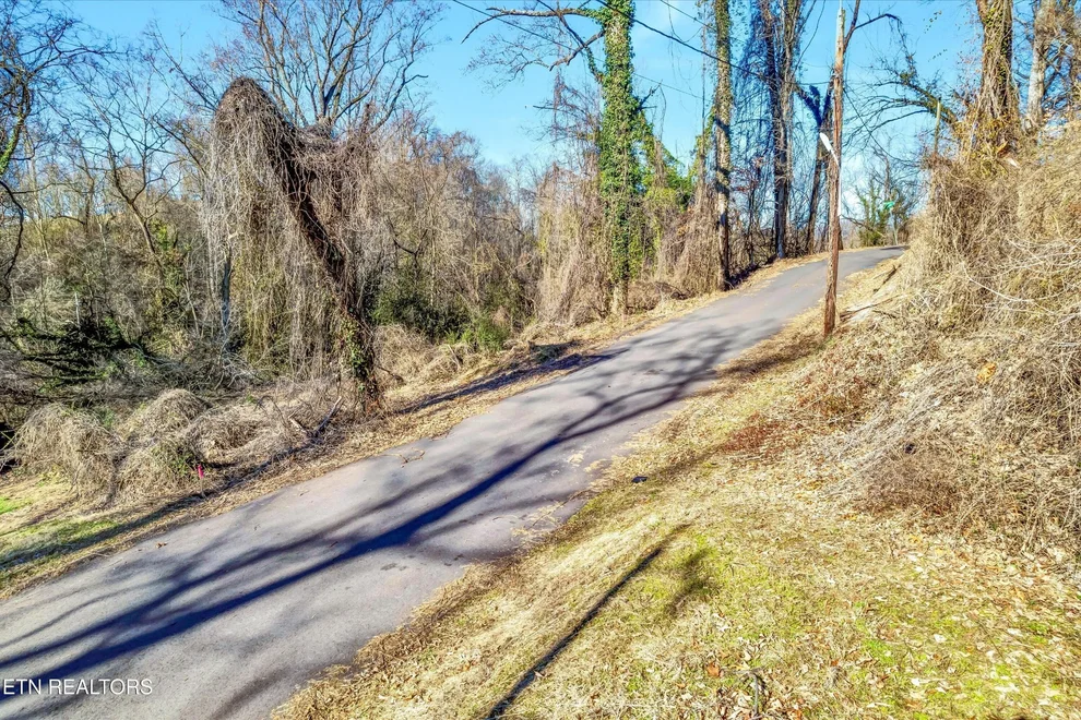 Unit for sale at 311 Bedford Ave, Knoxville, TN 37914