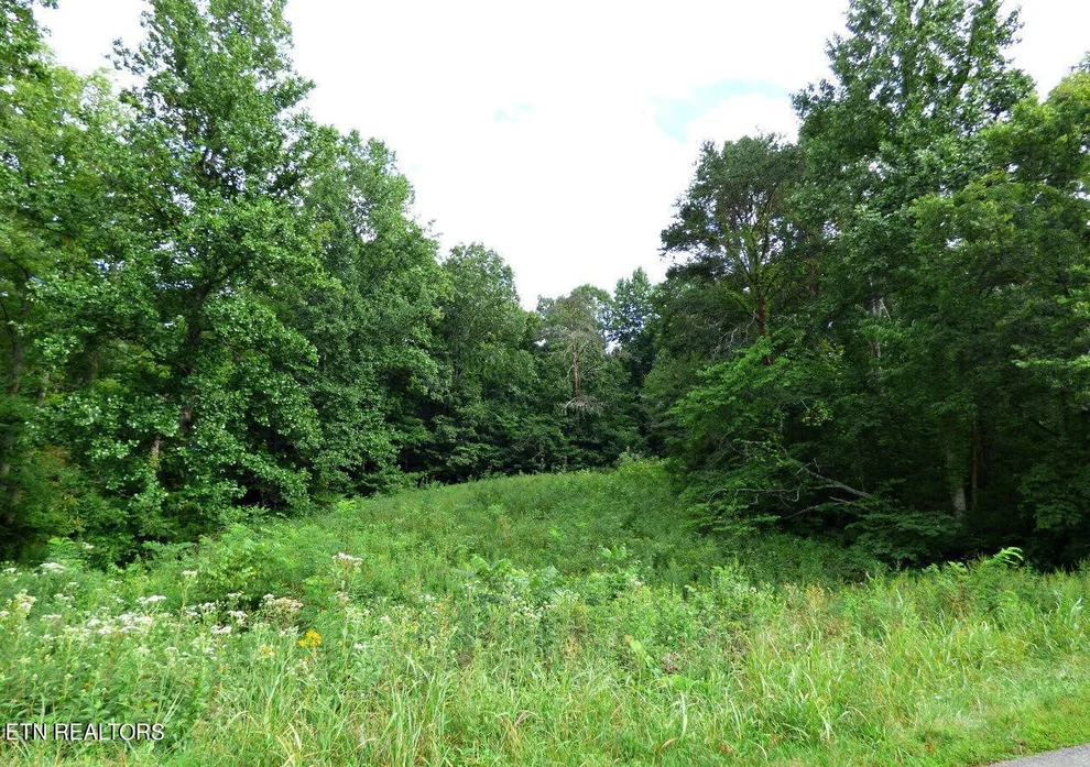 Unit for sale at 2 Dumplin Loop Rd, New Market, TN 37820