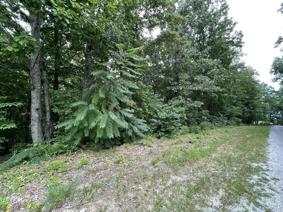 Unit for sale at 37 Pecan Tree Ln, Newport, TN 37821