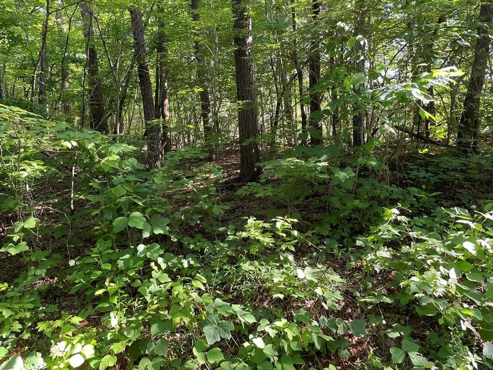 Unit for sale at 12 DENTON Court, Sevierville, TN 37862