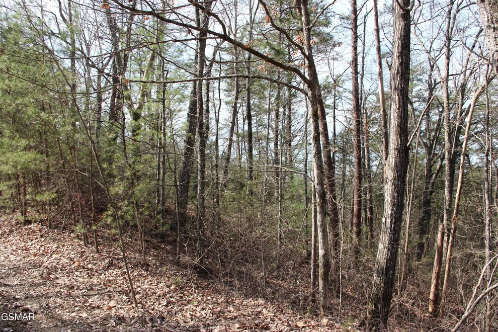 Unit for sale at 19 Ridge View Drive, Sevierville, TN 37876