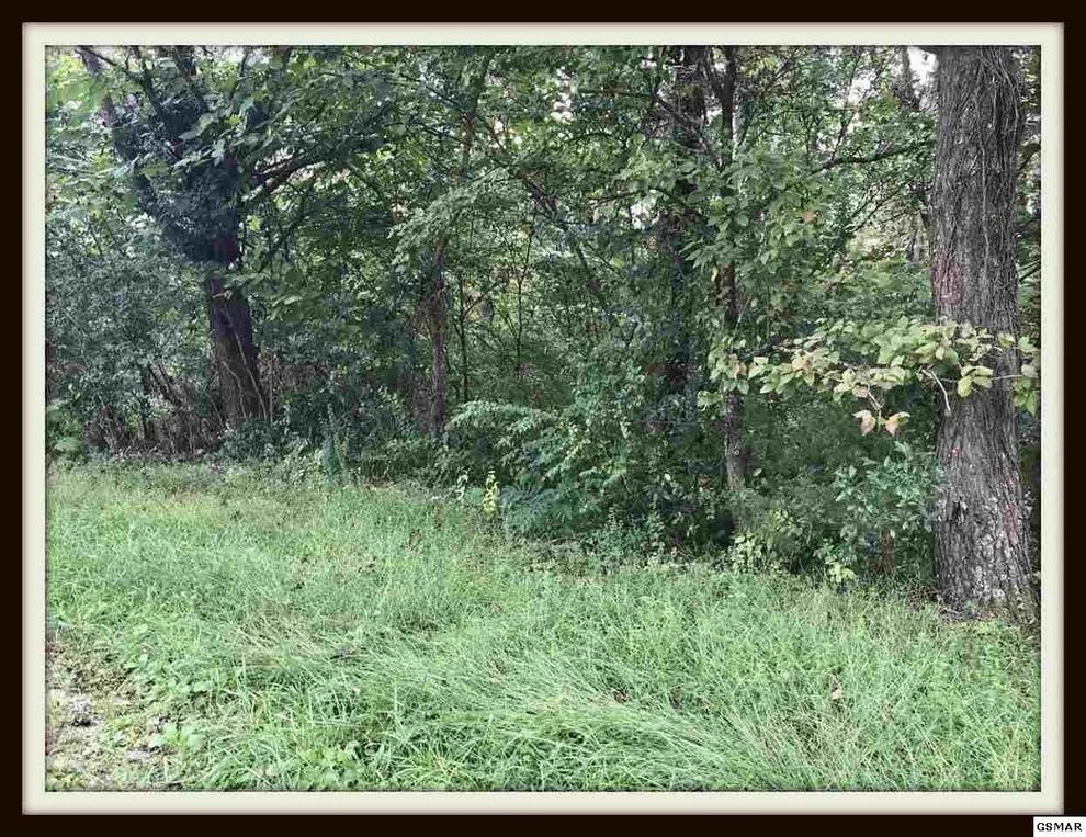 Unit for sale at 44 Progress Hill Boulevard, Pigeon Forge, TN 37863