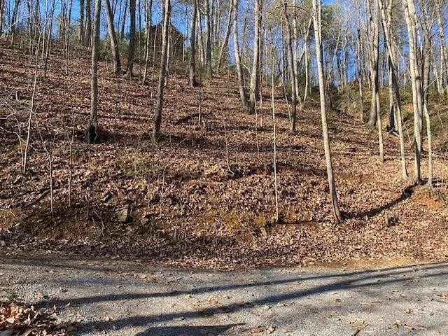 Unit for sale at 431 Lilly Court, Sevierville, TN 37876