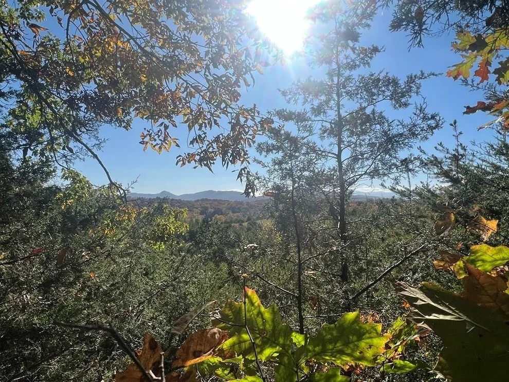 Unit for sale at 0 Manning Hollow Road, Sevierville, TN 37876